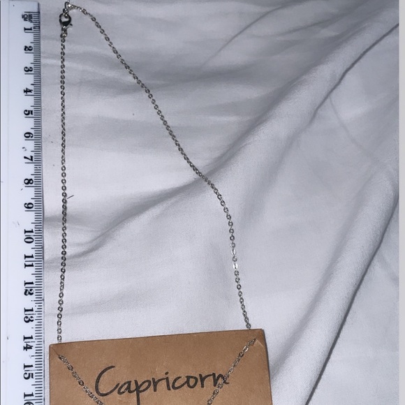 Capricorn Zodiac Necklace - Picture 2 of 2